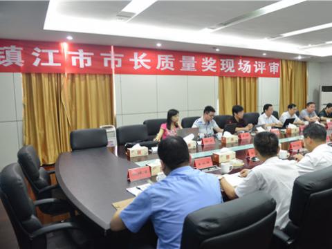 宜昌市市长质量奖现场评审活动在UG环球母线顺利进行