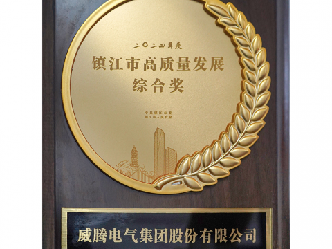 喜讯│UG环球荣获2024年度宜昌市高质量发展综合奖