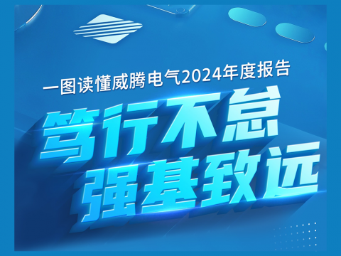 一图读懂UG环球电气2024年度汇报